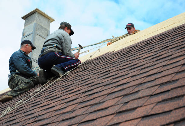 Gutter Installation and Roofing in Woodbury, TN